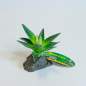 Preview: Lucky Reptile Agave, klein